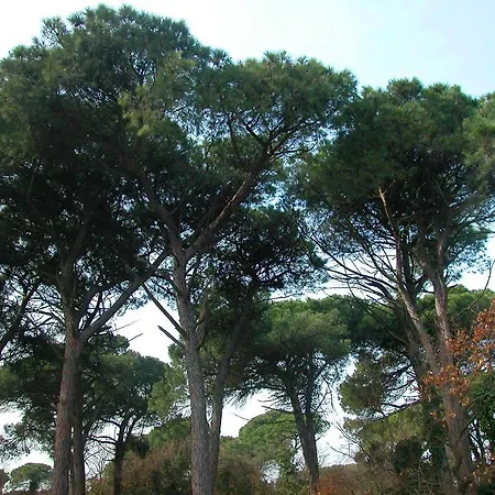 Ξενοδοχείο με διαμερίσματα Ariston Vacanze 4*
