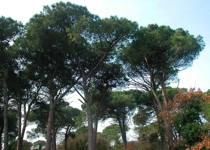 公寓式酒店 Ariston Vacanze 4*